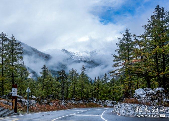 《AC黑旗》重制版或已启动开发 领英页面现端倪