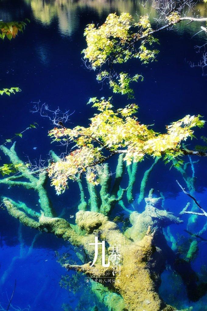 李湘从过年到现在每天带王诗龄,希望快点开学:实在受不了了