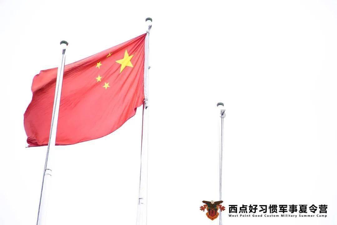 土豆炒鸡蛋的做法游戏画面