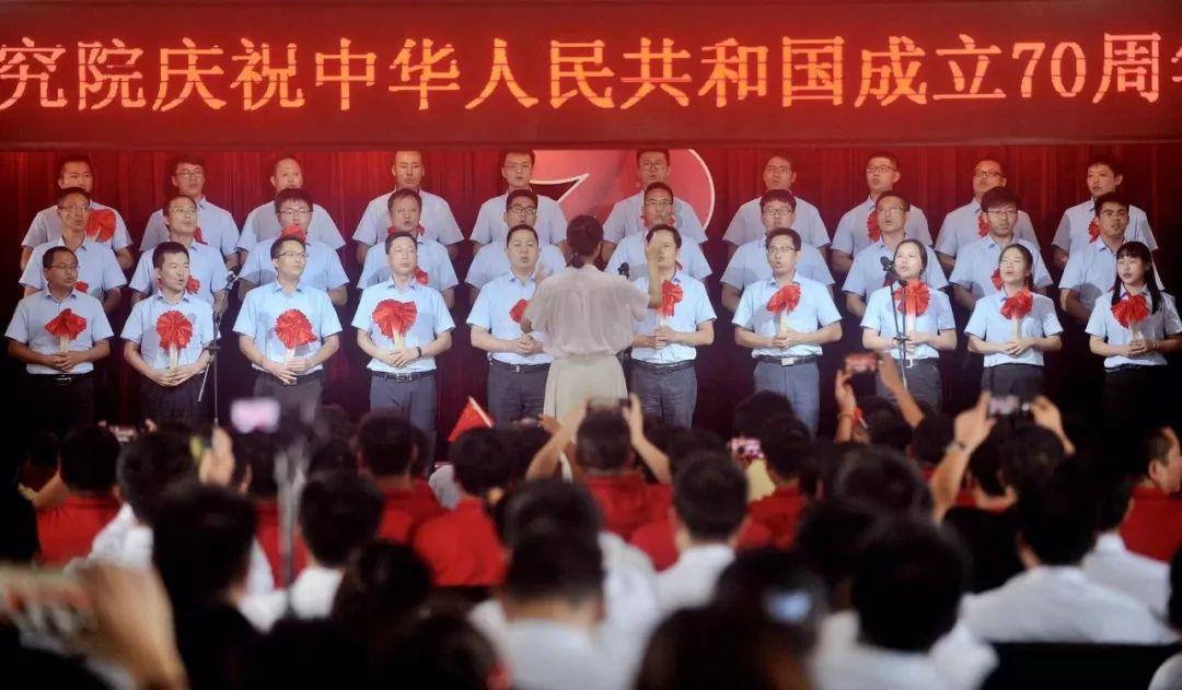 针织裙