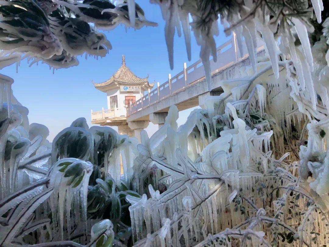 乌度卡：小贾巴里今日复出战湖人，继续担当首发